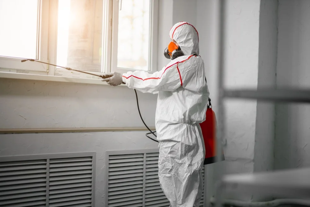 Professional mold remediation services in East Dennis, MA